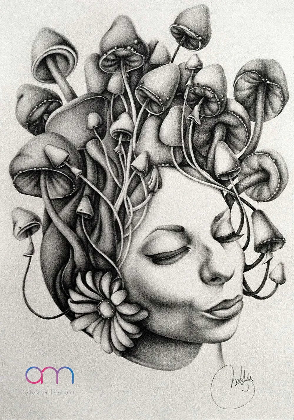Symbiosis
